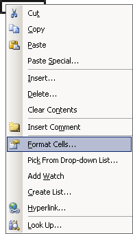Cell popup in Excel 2003