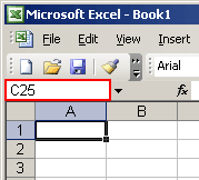 name box in Excel 2003