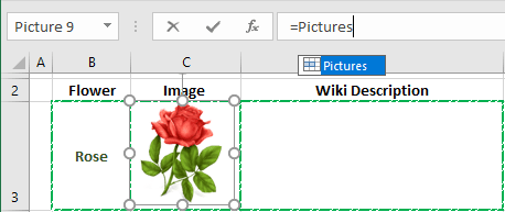 Linked image in Excel 2016