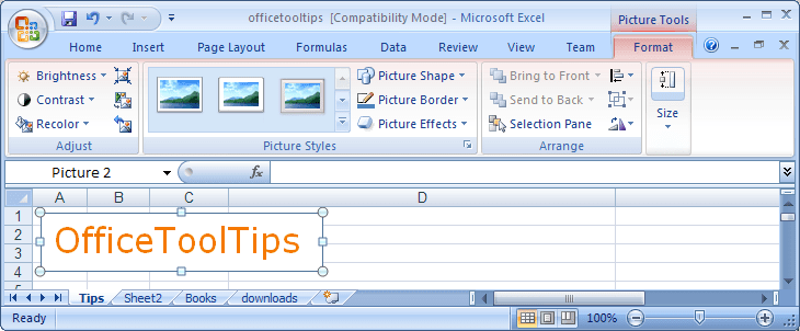 Picture Tools in Excel 2007