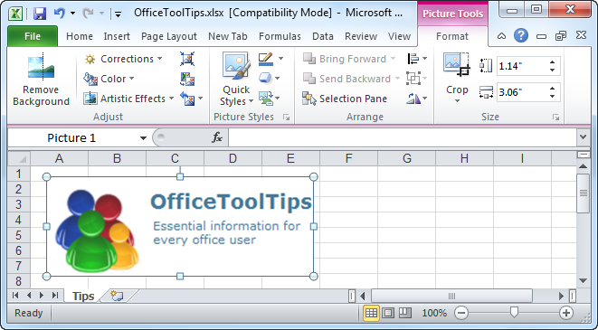 Picture Tools in Excel 2010