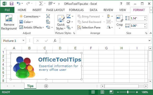 Picture Tools in Excel 2013