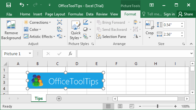 Picture Tools in Excel 2016