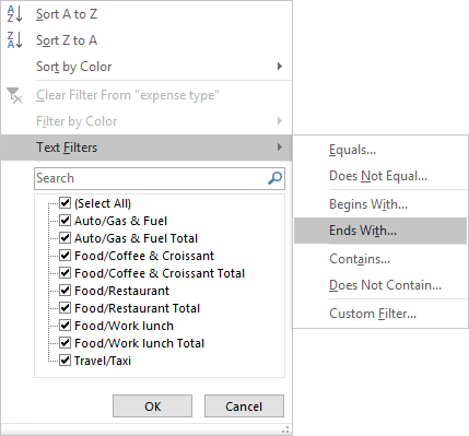 Text Filters in Excel 2016