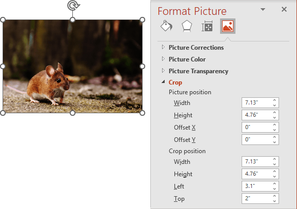 Crop options in Format Picture pane PowerPoint 365