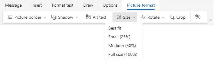 Picture format sizes in Simplified ribbon Outlook for Web