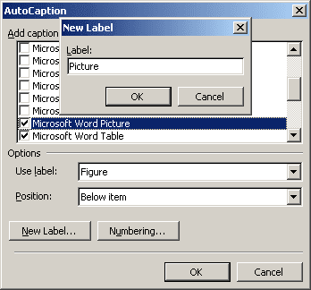 New Caption Label in Word 2003