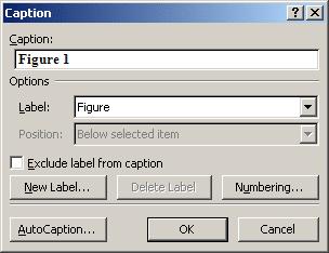 AutoCaption in Word 2007