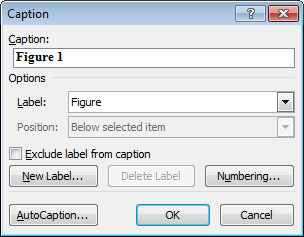AutoCaption in Word 2010