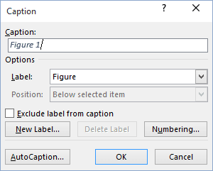 AutoCaption in Word 2016 AutoCaption in Word 2016