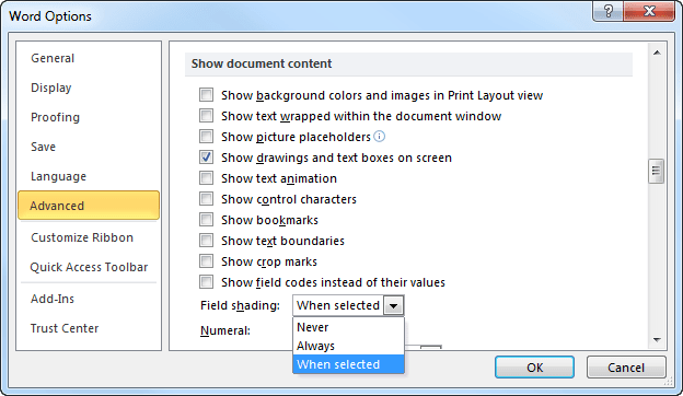 Options Advanced in Word 2010