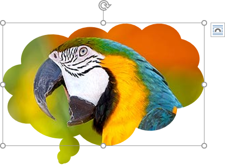 Crop a picture to a shape Word 2016 Crop a picture to a shape Word 2016
