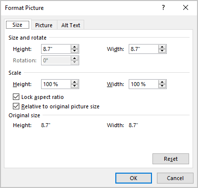 Format Picture Size in Excel 365