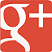 Google+ icon