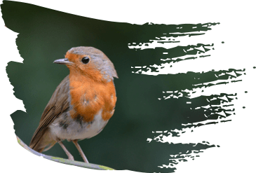 Brush effects in PowerPoint for Microsoft 365 Brush effects in PowerPoint 365