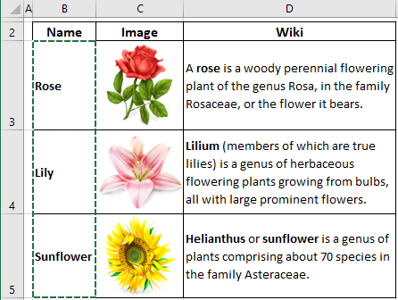 List with images in Excel 2016