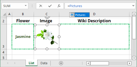 Linked image in Excel 365