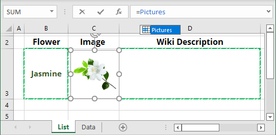 Linked image in Excel for Microsoft 365 Linked image in Excel 365