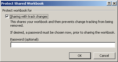 Protect Shared Workbook in Excel 2007