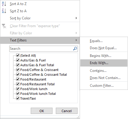 Text Filters in Excel 2016 Text Filters in Excel 2016
