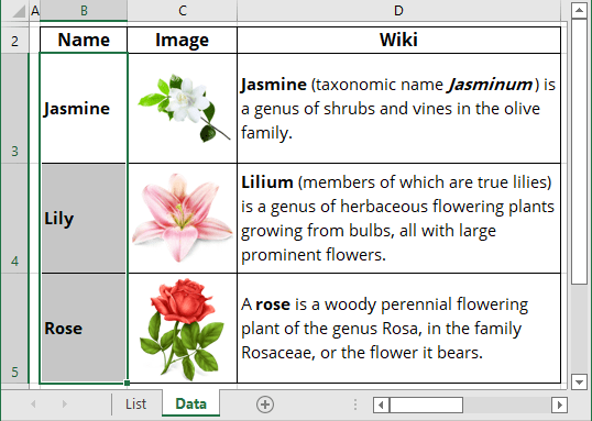 List with images in Excel 365