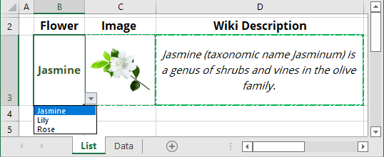 A drop-down list in Excel 365