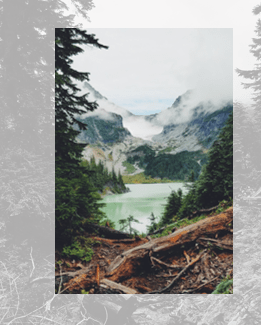 Recolor borders for the pictures 2 in PowerPoint for Microsoft 365 Recolor borders for the pictures 2 in PowerPoint 365
