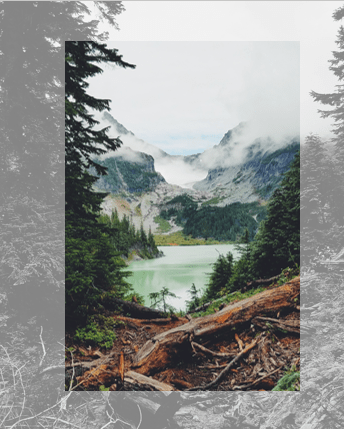 Borders 2 for the picture in PowerPoint for Microsoft 365 Borders 2 for the picture in PowerPoint 365