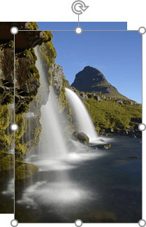 Copied pictures in PowerPoint for Microsoft 365 Copied pictures in PowerPoint 365