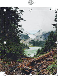 Copied pictures 2 in PowerPoint for Microsoft 365 Copied pictures 2 in PowerPoint 365