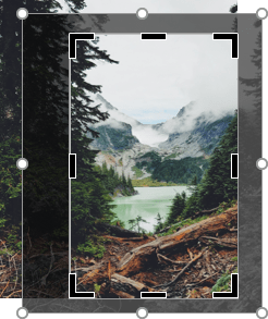 Crop the picture in PowerPoint for Microsoft 365 Crop the picture in PowerPoint 365