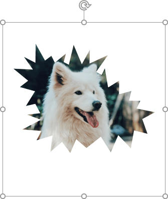 The first shape in PowerPoint for Microsoft 365 The first shape in PowerPoint 365
