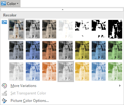 Recolor picture in PowerPoint for Microsoft 365 Recolor picture in PowerPoint 365