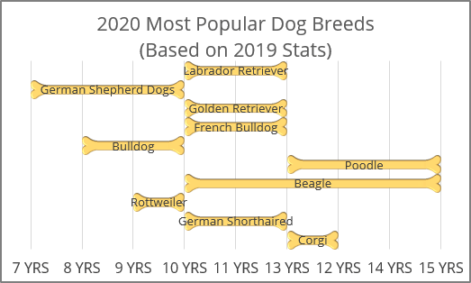Dog life span chart in Excel for Microsoft 365 Dog life span chart in Excel 365