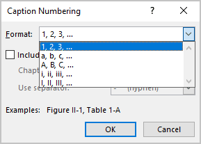 Format in Caption Numbering dialog box Word 365