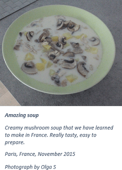 Caption for photograph in Word for Microsoft 365 Caption for photograph in Word 365