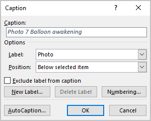 Description in Caption dialog box Word 365