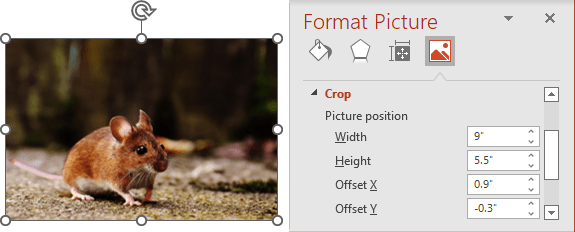Picture position in Format Picture pane PowerPoint 365