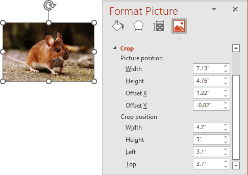 Crop position in Format Picture pane PowerPoint 365