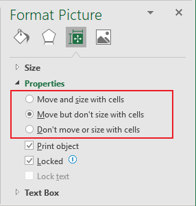 Properties in Format Picture pane Excel 365