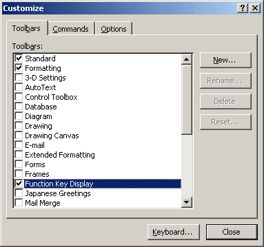 Customize in Word 2003