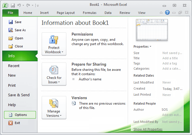 Excel 2010 Options