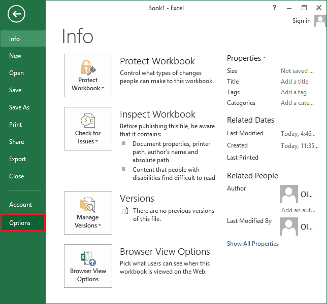 Options in Excel 2013