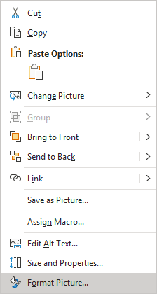 Format Picture in popup menu Excel 365