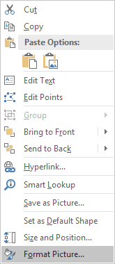 Format Picture in popup menu PowerPoint 2016