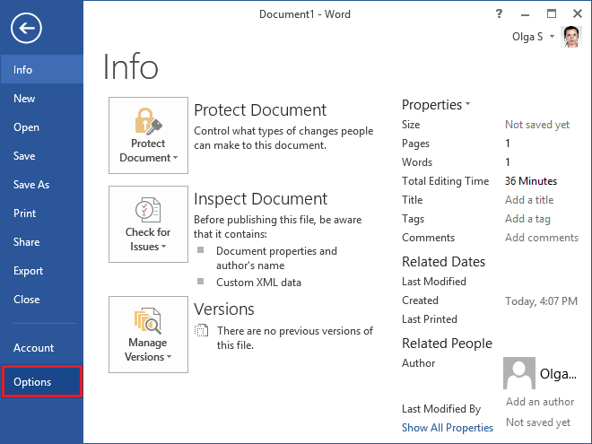 Options in Word 2013