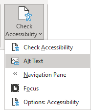 Alt Text in Review Word 365
